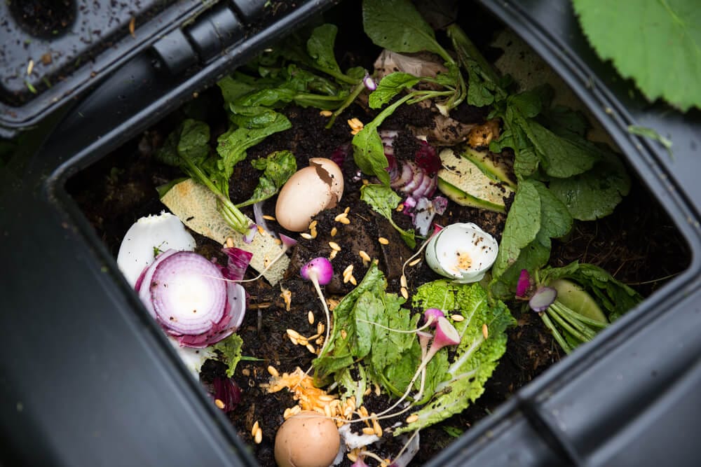 fall garden cleanup compost