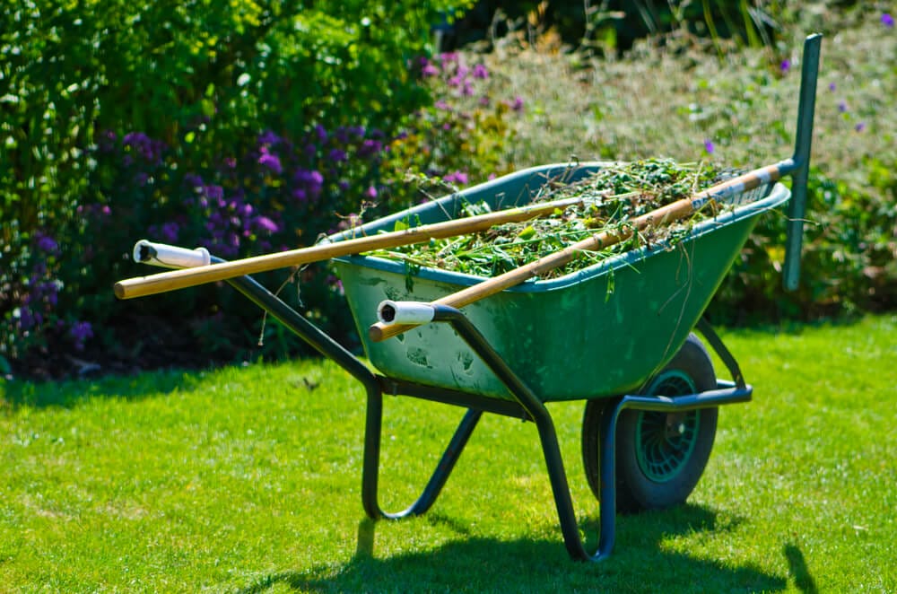 garden cleanup