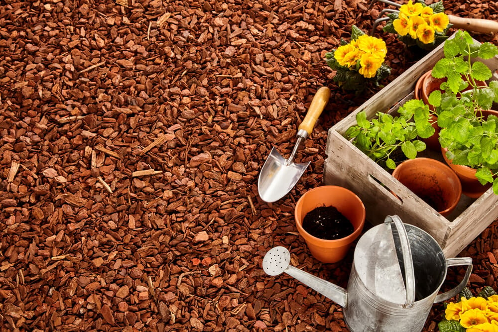 garden mulch - most common gardening mistakes