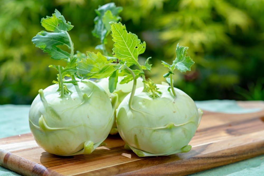 kohlrabi uses