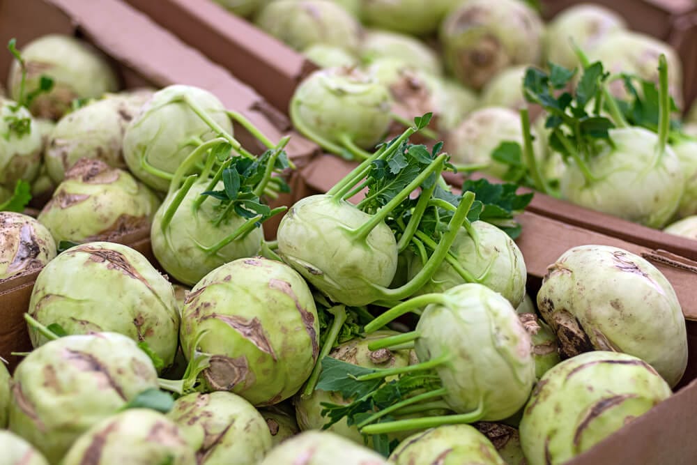 storing kohlrabi