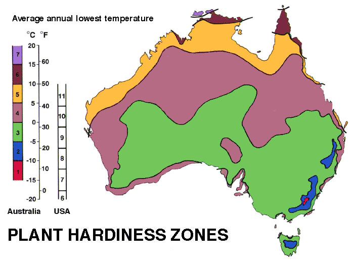 10 Best Herbs To Grow In Australia 2023 Guide The Gardening Dad