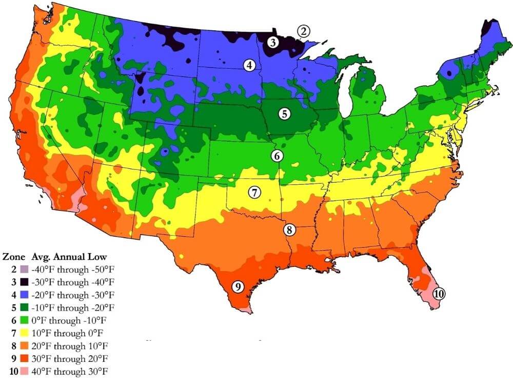 When To Plant Carrots In Zone 7 A Complete Guide PlantHD