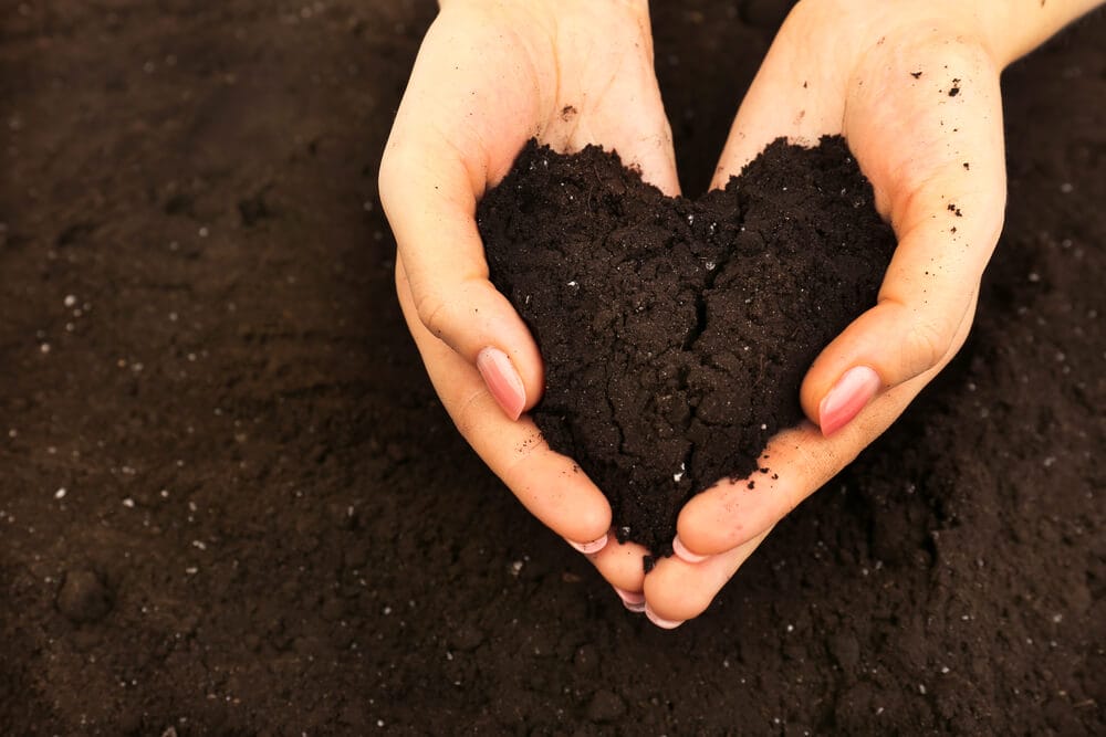 best garden soil