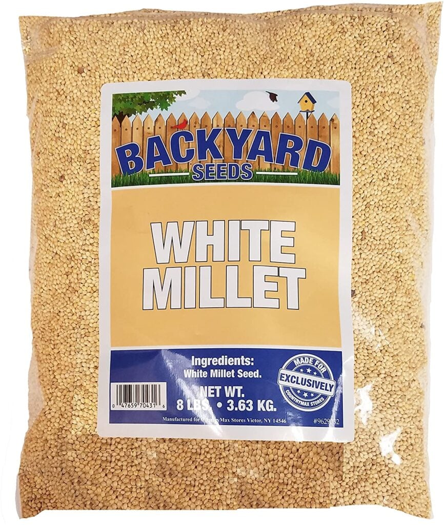 Backyard White Millet