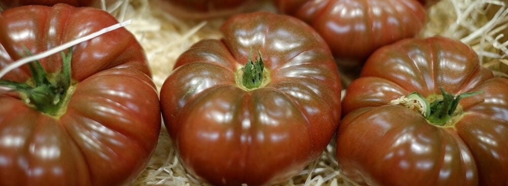 cherokee purple tomatoes