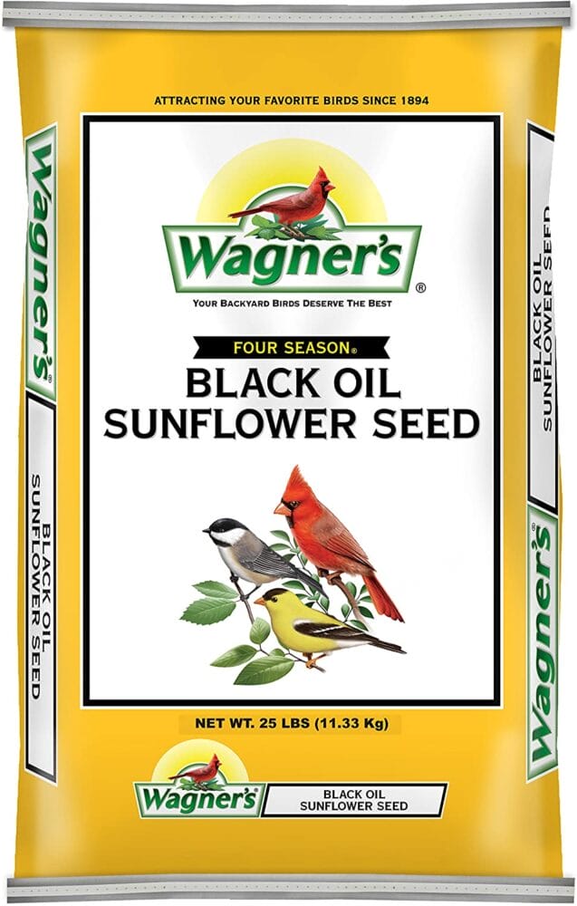 do magpies eat sunflower seeds