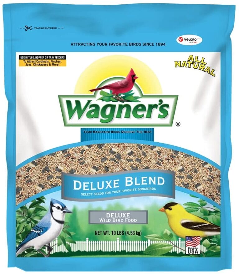 10 BEST Bird Seed for MORE Chickadees (2023) The Gardening Dad