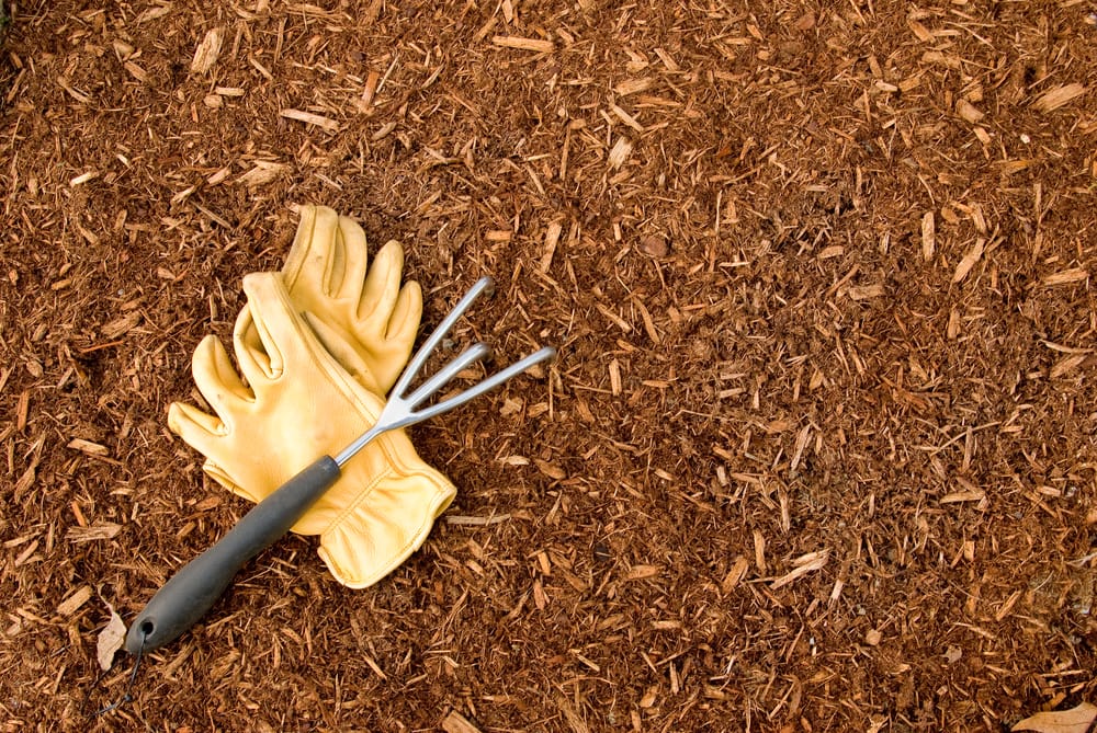 garden mulch