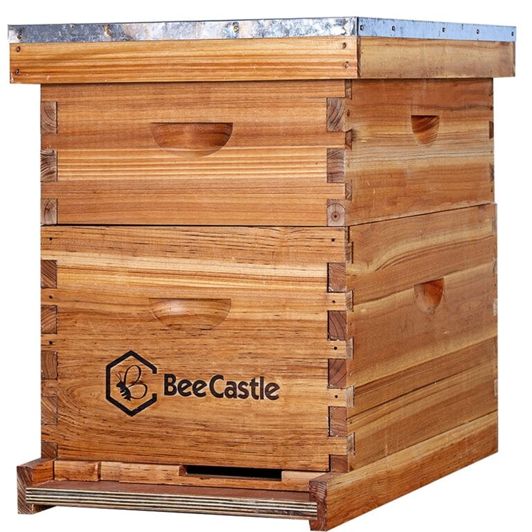 10 BEST Backyard Beehive Starter Kits (2023 Guide) The Gardening Dad