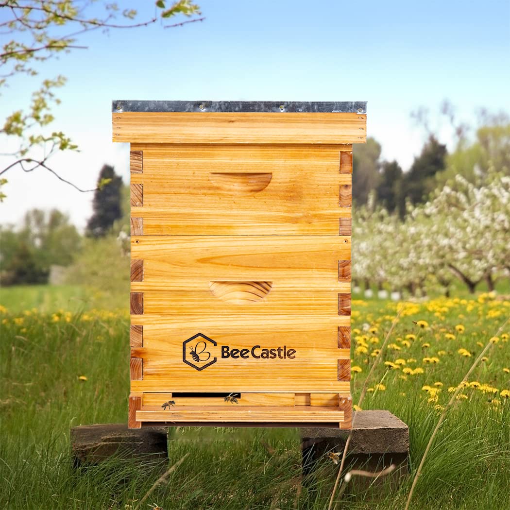 10-best-beehives-2023-guide-the-gardening-dad