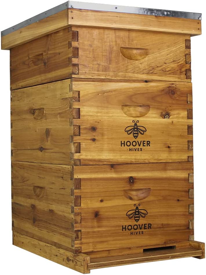 hoover hives langstroth hive