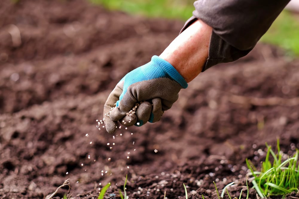 fertilizing plant