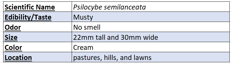 liberty cap mushroom data