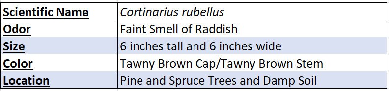 Cortinarius Rubellus Chart